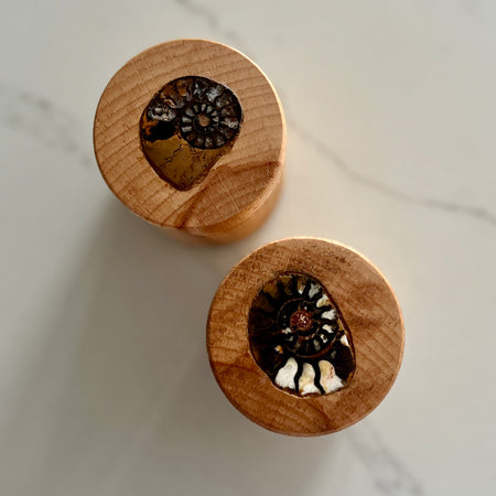 Two round wooden keepsake boxes with circular lids, each featuring a polished inlay of a fossilized ammonite shell, displayed on a light marble surface.