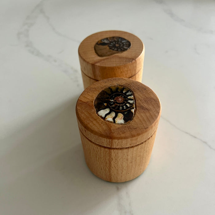Trinket Box With An Ammonite Insert