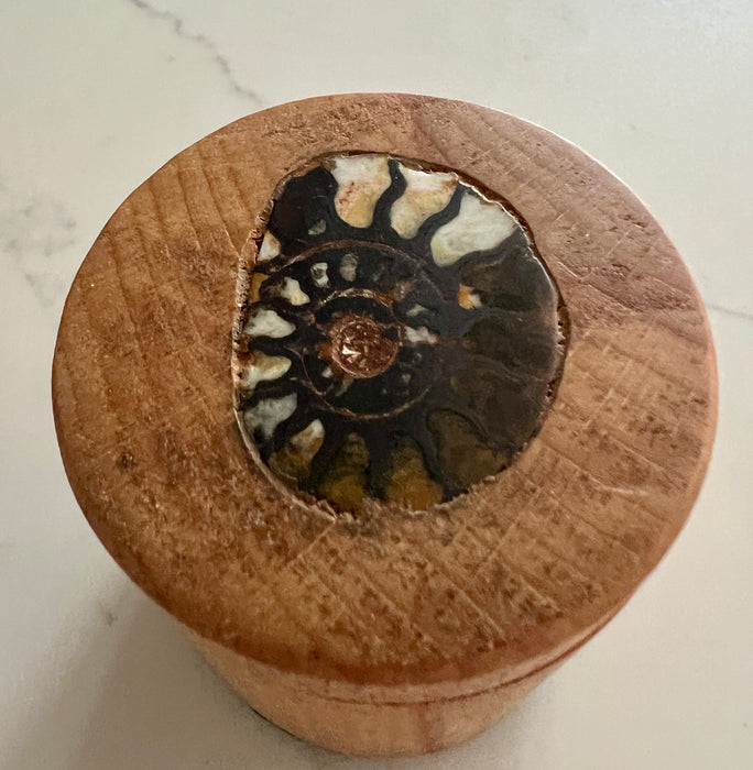 Trinket Box With An Ammonite Insert