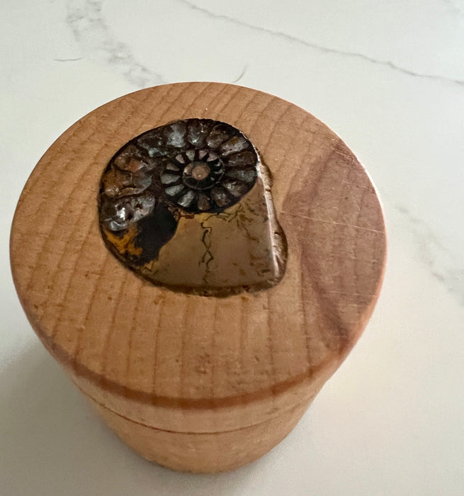 Trinket Box With An Ammonite Insert